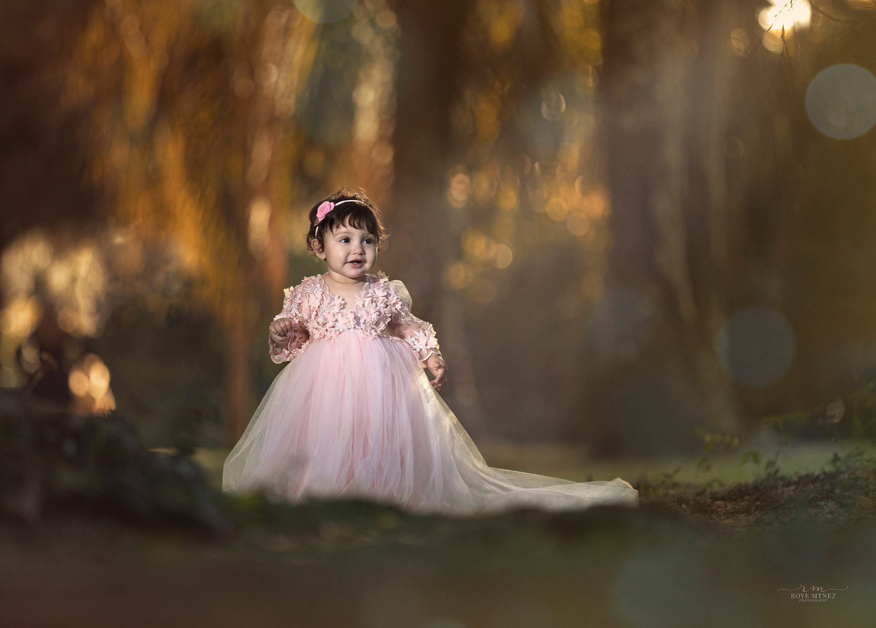 Baby pink dress, Princess dress, Flower girl dress, Tutu Dress, Christmas dress, First Birthday dressthumbnail