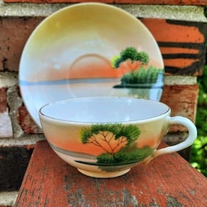 Chikaramachi Tea Cup & Saucer Set Antique Hand Painted Nature Scene with Gold Edging Fine Porcelain Made in Japan