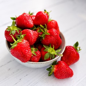 25 Strawberry Plants Eversweet - Eversweet Everbearing Strawberry Plants - Sweet Strawberries - Buy 4 Sets Get 5th Set Free! FREE SHIPPING!