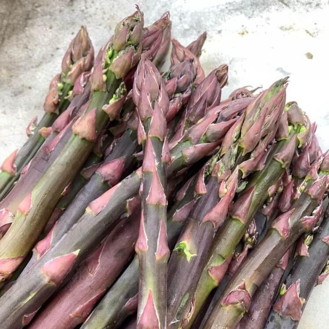 5 Asparagus Plants, 
