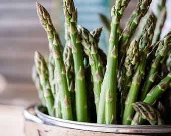 10 Asparagus Plants &#39;Millennium&#39; Asparagus Crowns - 2 Year Asparagus Crowns -  Large Asparagus Roots - Garden Asparagus - Buy 4 Get 1 Free!