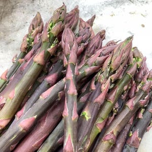 10 Asparagus Plants, &#39;Purple Passion&#39; Asparagus Crowns - 2 Year Asparagus Crowns - Healthy Asparagus Roots For Garden - Buy 4 Get 1 Free!
