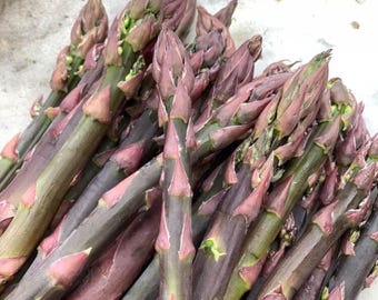 10 Asparagus Plants, &#39;Purple Passion&#39; Asparagus Crowns - 2 Year Asparagus Crowns - Healthy Asparagus Roots For Garden - Buy 4 Get 1 Free!