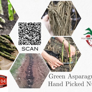 5 Jersey Giant asparagus root -2yr-crowns- BUY 4 GET 1 FREE, Fall Planting Vegetable