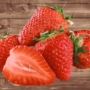 25 Seascape Strawberry Plants - Everbearing, Day Neutral Strawberries - Bare Root Strawberry Plants Buy 4 SETS Get 5TH FREE! Free Shipping!