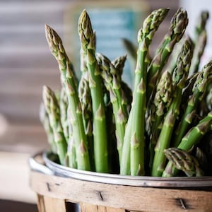 May include: A bunch of fresh green asparagus spears in a wooden basket. The asparagus is arranged vertically, with the tips pointing upwards.