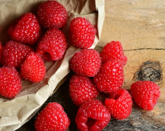 May include: A collection of fresh, bright red raspberries spilling out of a crumpled brown paper bag. The berries feature a textured, bumpy surface and are scattered across the frame, showcasing their vibrant color and rounded, hollow-centered shapes.