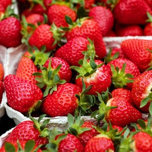 May include: A collection of fresh, ripe strawberries with vibrant red skin and small yellow seeds, each topped with a green leafy calyx, packed closely together in white molded fiber containers, showcasing a variety of shapes and sizes.