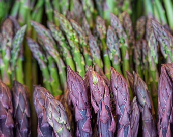 May include: A collection of fresh asparagus spears featuring deep purple tips and stalks that transition into vibrant green at the base. The spears are arranged vertically, showcasing the textured, scale-like leaves on the pointed heads.
