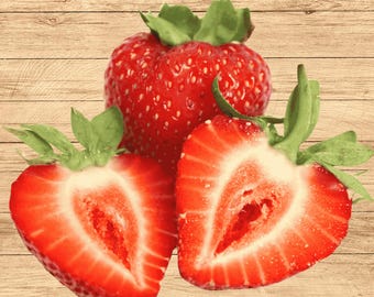 Albion Everbearing | 10 Bare Root Strawberry Plants | Day-Neutral | Sweet, Firm, High-Yield | Hand Picked Nursery