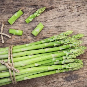 10 Asparagus Plants &#39;Jersey Knight&#39; - 2 Year Asparagus Crowns - Large and Healthy Asparagus Roots - Buy 4 Get 1 Free - FREE SHIPPING!