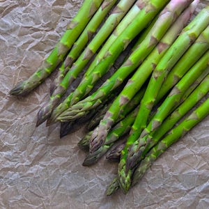 10 Jersey Giant Asparagus Crowns - 2 Year Bare Root Roots - Large Tender Spears - Fall Planting Vegetable - From Hand Picked Nursery