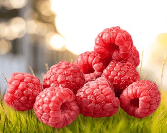May include: A cluster of fresh, vibrant red raspberries with a textured, bumpy surface. Each individual berry displays a deep crimson hue and a hollow center, arranged in a small pile with visible segments forming the rounded, conical fruit shape.