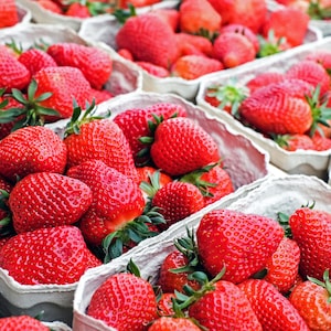 May include: Bright red strawberries with green leaves are displayed in white cardboard containers. The ripe berries are densely packed, showcasing their textured surfaces. The image highlights the freshness and abundance of the fruit.