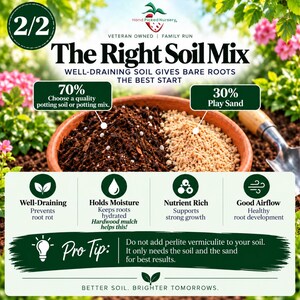 May include: A terracotta bowl containing a mixture of 70% potting soil and 30% play sand. Text overlays include 'The Right Soil Mix', 'Well-Draining Soil Gives Bare Roots The Best Start', and a 'Pro Tip' advising against adding perlite or vermiculite.