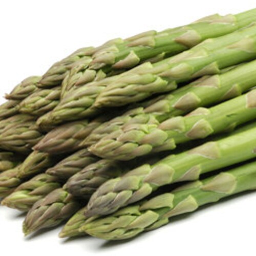 10 'jersey Knight' Asparagus Crowns 2yrcrowns BUY Etsy