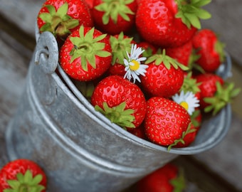 25 Strawberry Plants Honeoye - Honeoye June Bearing Strawberry Plants - Winter Hardy Strawberry - Buy 4 Sets Get 5th Free! FREE SHIPPING!