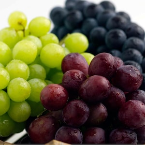 Grape Vine Collection: Concord, Catawba, and Niagara 1 of each - Bare Root Live Plant Buy 4 sets get 1 set free! -PREORDER April shipping!
