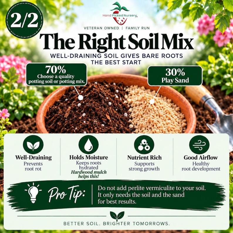 Może przedstawiać: Edukacyjna grafika zatytułowana The Right Soil Mix przedstawia terakotową miskę wypełnioną w 70% ziemią doniczkową i w 30% piaskiem do zabawy. Zawiera tekst o drenażu, wilgotności, składnikach odżywczych, przepływie powietrza i poradę przeciw perlicie.