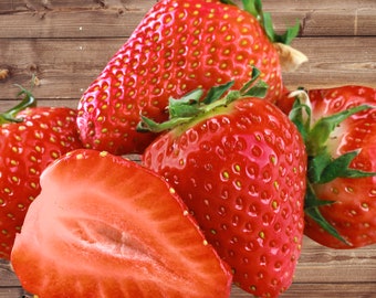 10 Sweet Charlie Strawberry Plants – June Bearing Bare Root Strawberries, Very Sweet Flavor, Heat Tolerant – From Hand Picked Nursery