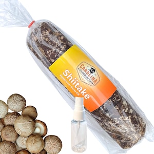 Shiitake Mushroom Grow Kit - Easy to Grow Indoors! Misting Bottle, Humidity Bag, and Easy-to-Follow Instructions Included!