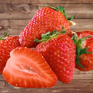 50 Seascape Strawberry Plants - Everbearing, Day Neutral Strawberries - Bare Root Strawberry Plants Buy 4 SETS Get 5TH FREE! Free Shipping!
