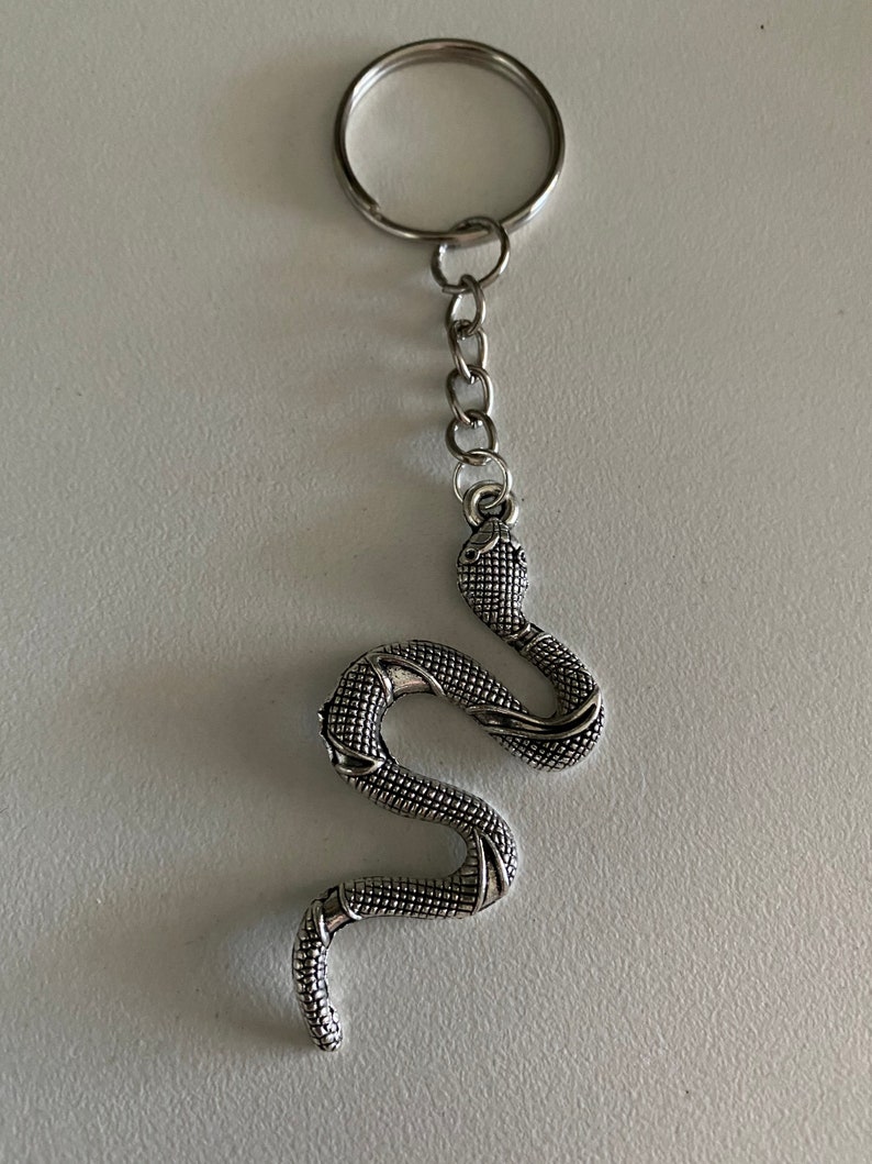 Silver or Bronze Serpent Snake Post Earrings. Say That 3 Times Etsy