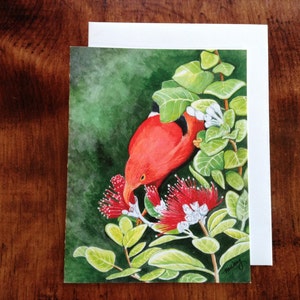 I‘iwi Bird on Ohia Lehua Blossom Notecard
