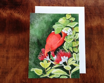 I‘iwi Bird on Ohia Lehua Blossom Notecard