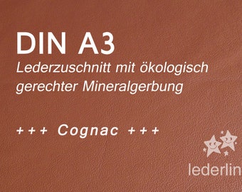 Lederzuschnitt Cognac A3