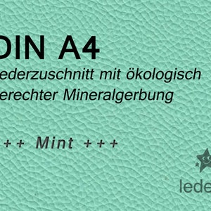 Puschenleder Mint A4 Lederzuschnitt Leder