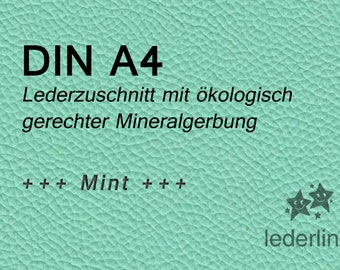 Puschenleder Mint A4 Lederzuschnitt Leder