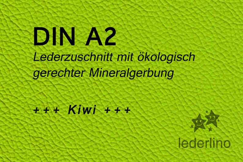 Zapatilla de corte de cuero ecopiel Kiwi A2 imagen 1