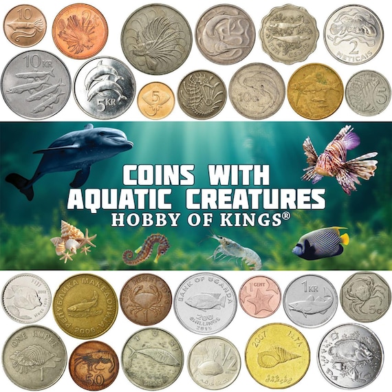 Different Coins With Aquatic Animals | Fish, Dolphins, Squids, Crabs, Shrimps, Starfish, and More | Gift for Collectors and Animal Lovers