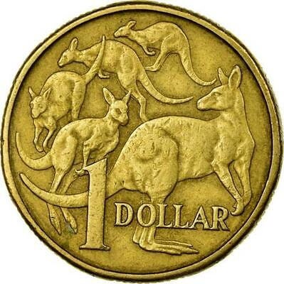オーストラリア 1ドル 1オンス銀貨 カンガルー エリザベス2世 2005年 オーストラリア硬貨 1 ドル | エリザベス 2 世 | カンガルー | 1984 年