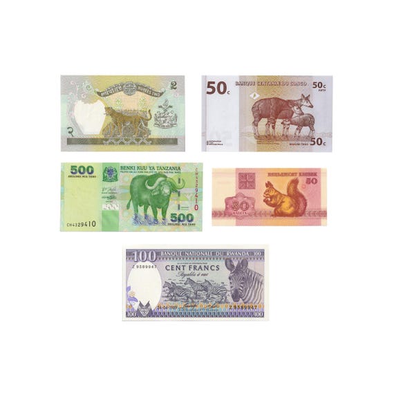 5 Banknote Set | Terrestrial Animals | Squirrel | Leopard | Okapi | Water Buffalo | Zebra