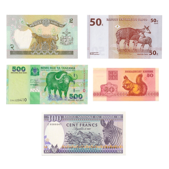 5 Banknote Set | Terrestrial Animals | Squirrel | Leopard | Okapi | Water Buffalo | Zebra