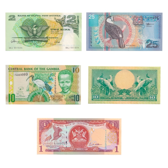 5 Banknote Set | Birds | Cockatoos | African Sacred Ibis | Bird of Paradise | Toucan