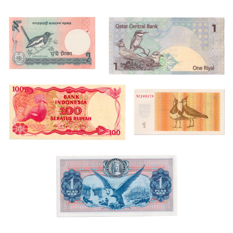5 Banknote Collection | Birds | Magpie Robin | Vanellus | Pigeon ...