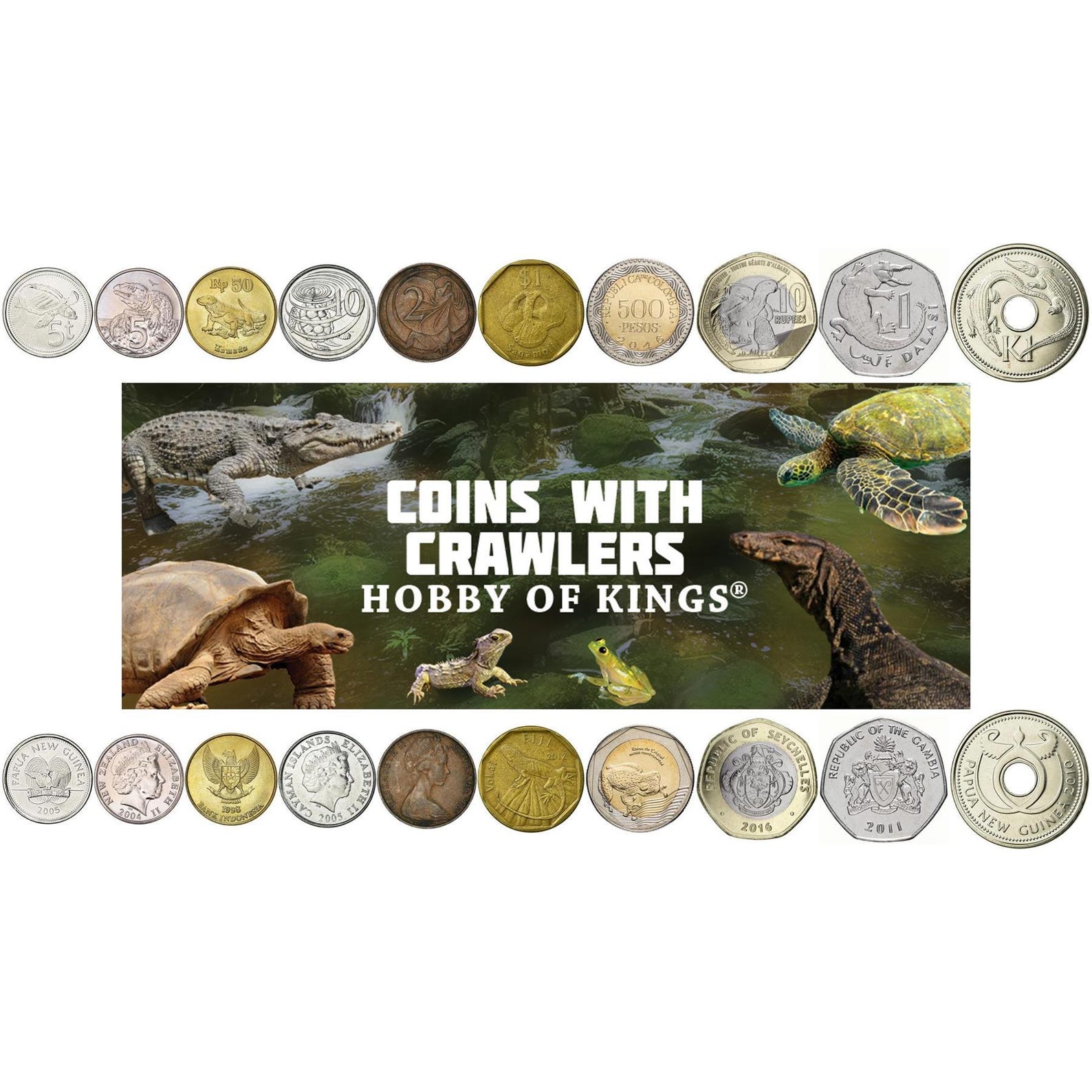 Reptile & Amphibian Coin Collection: Unique Animal Coins for Collectors ...