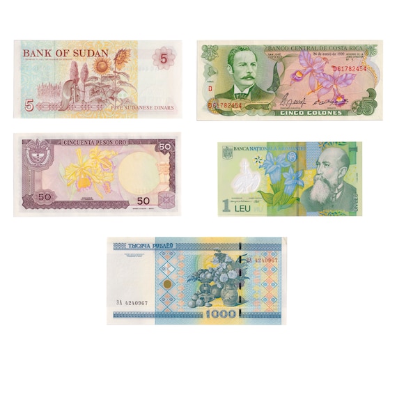 5 Banknotes with Flowers | Sunflowers | Christmas orchids | Fruits and Plants