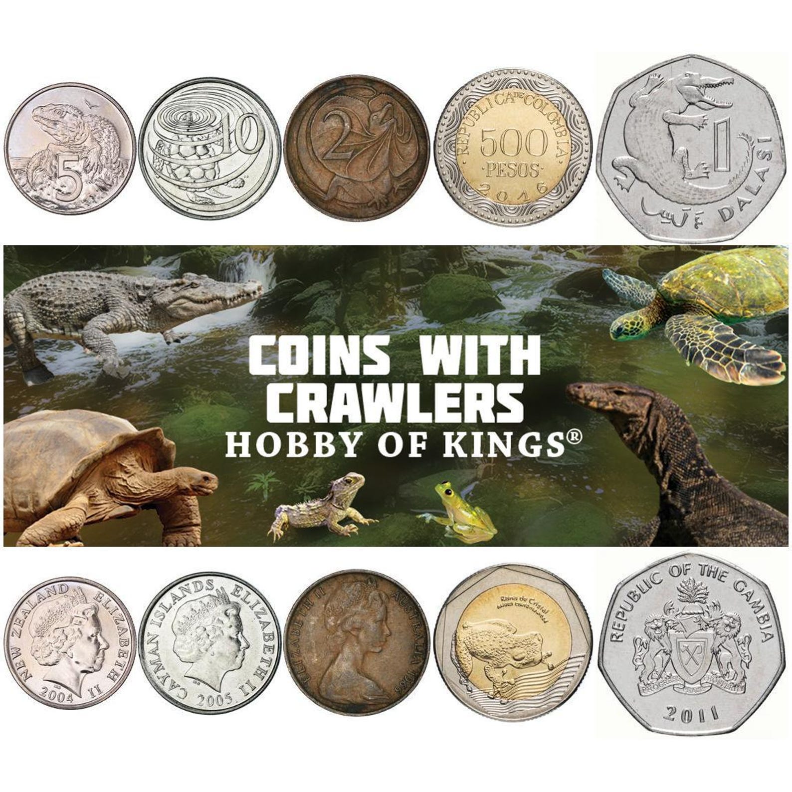Reptile & Amphibian Coin Collection: Unique Animal Coins for Collectors ...