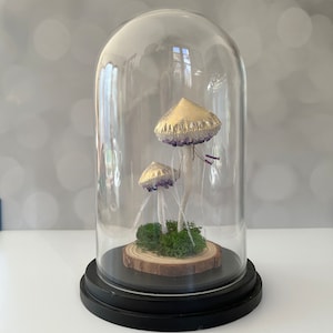 Geode Pilz Cloche