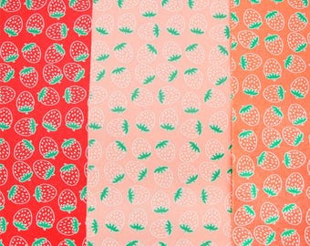 Fruit Merino Felt
