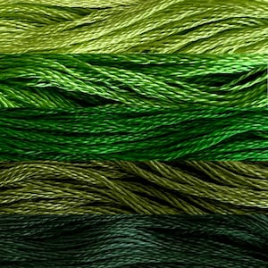 May include: Close-up of five different shades of green embroidery floss. The floss is arranged in horizontal rows, with the darkest green at the bottom and the lightest green at the top.