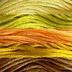 May include: Close-up of embroidery floss in shades of yellow, orange, and brown. The floss is arranged in horizontal rows, showcasing the different colors and textures. The colors range from light yellow to a deep brown.