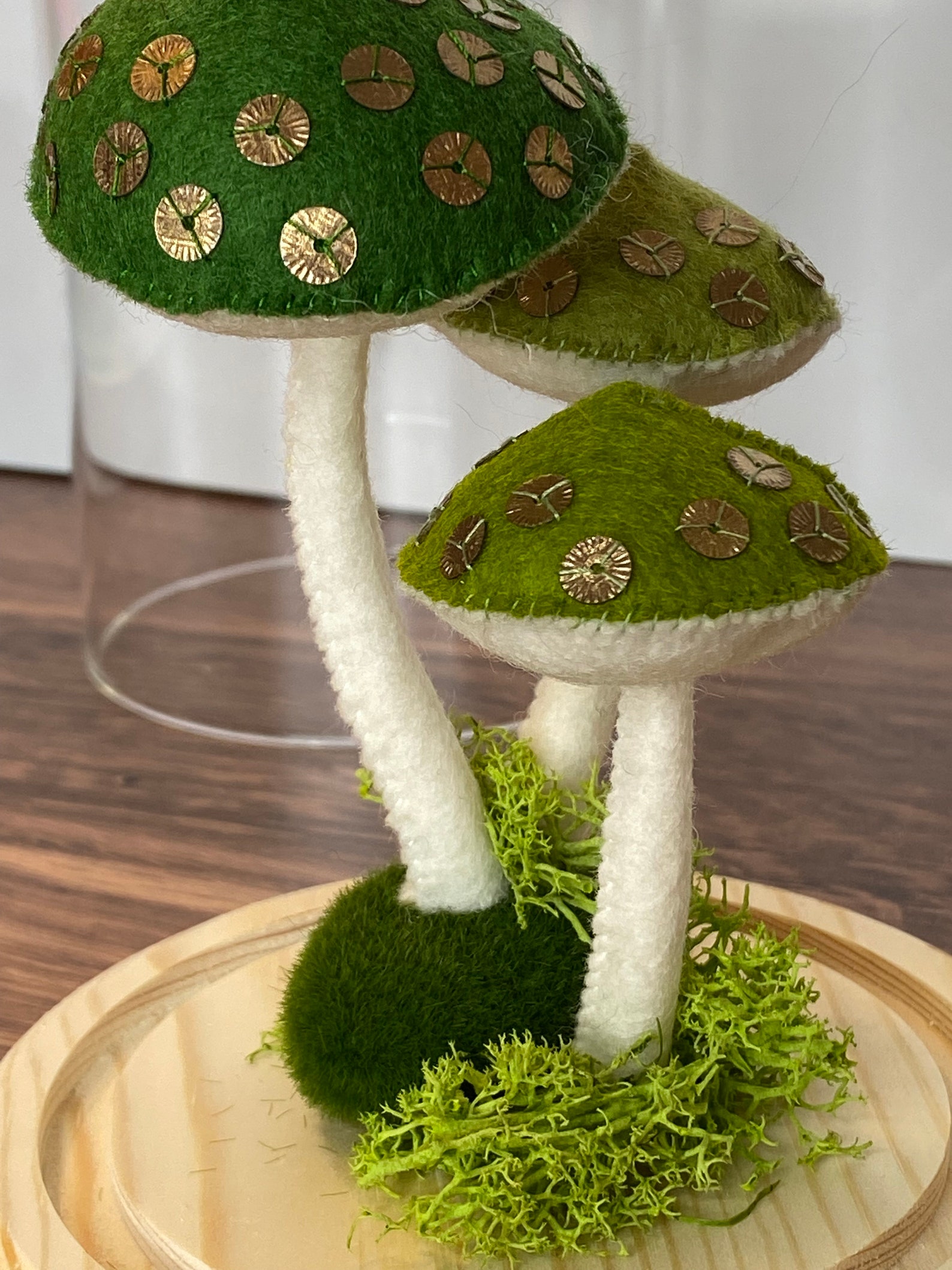 Felt Mushrooms KIT Make Your Own Felt Mushrooms - Etsy
