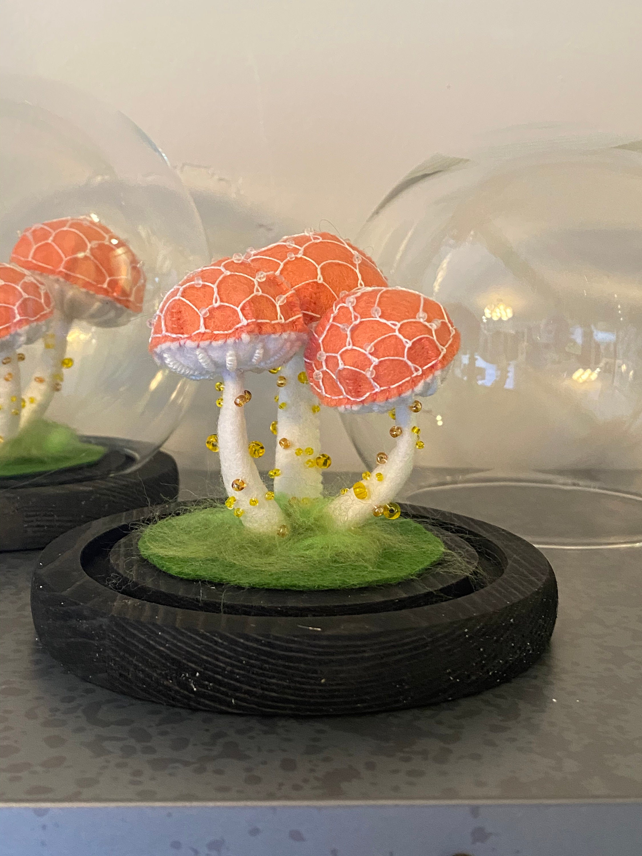 Rhodotus Mushroom Cloche Original Handmade Felt Mushrooms Etsy