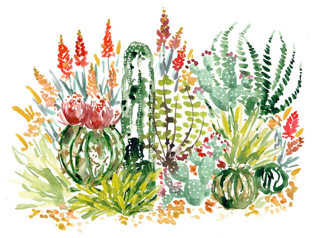 Desert #2 - Cactus - Succulent - Cacti - Watercolor - Art Print - Wall ...