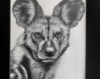 African Painted Dog ORIGINAL DRAWING